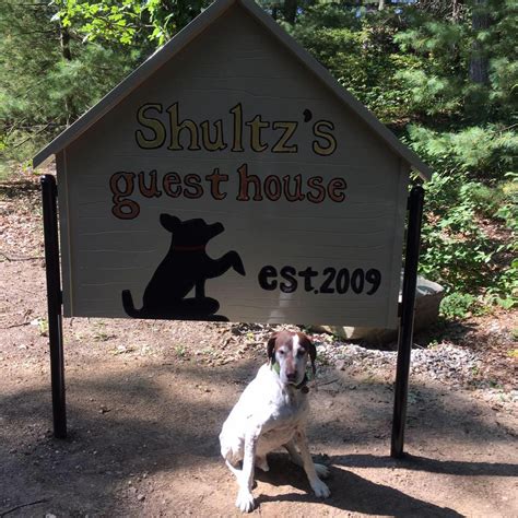Just saying. . Shultzs guest house